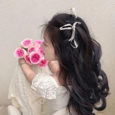 丑小鸭天鹅